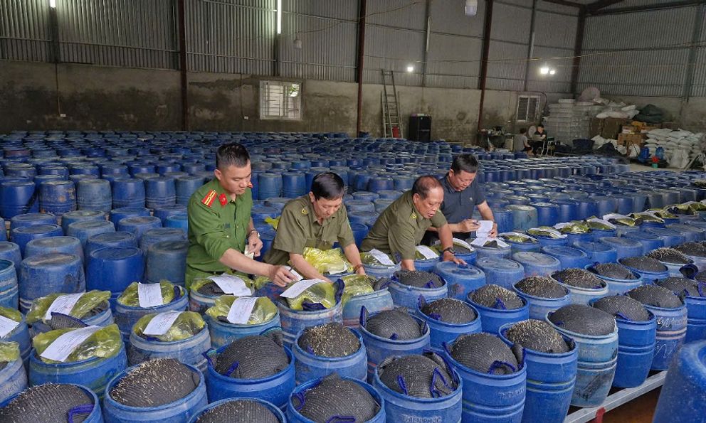 Nghệ An triệt phá ổ sản xuất 3.500 tấn giá đỗ ngâm hóa chất 