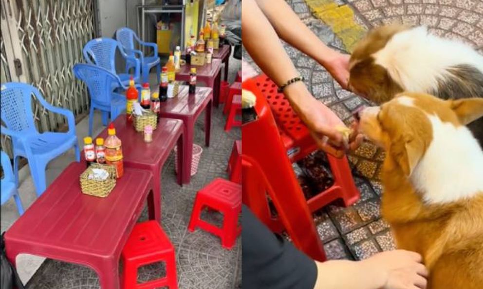 3 dấu hiệu nhận biết quán ăn ngon ở Việt Nam khiến dân mạng gật gù, dấu hiệu thứ 2 từng khiến khách Tây phấn khích