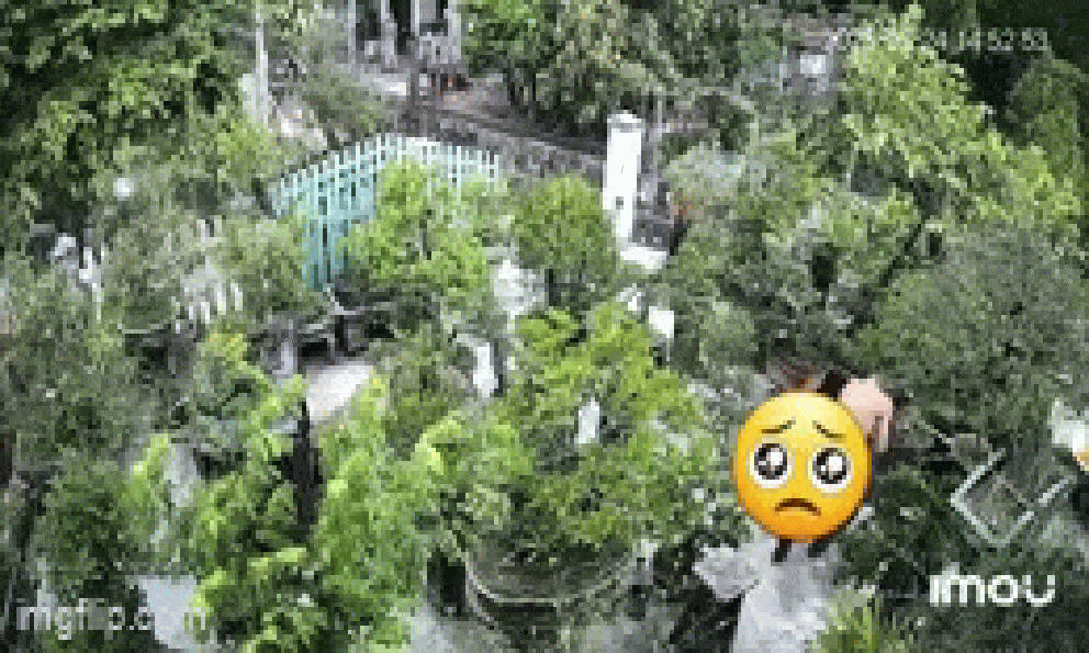 Phẫn nộ clip chồng rượt đuổi, đánh đập dã man mặc cho người vợ liên tục gào khóc van xin ngay trong sân vườn 