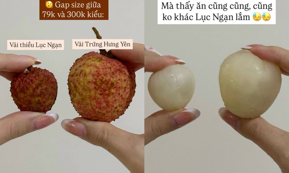 Vải trứng Hưng Yên: 