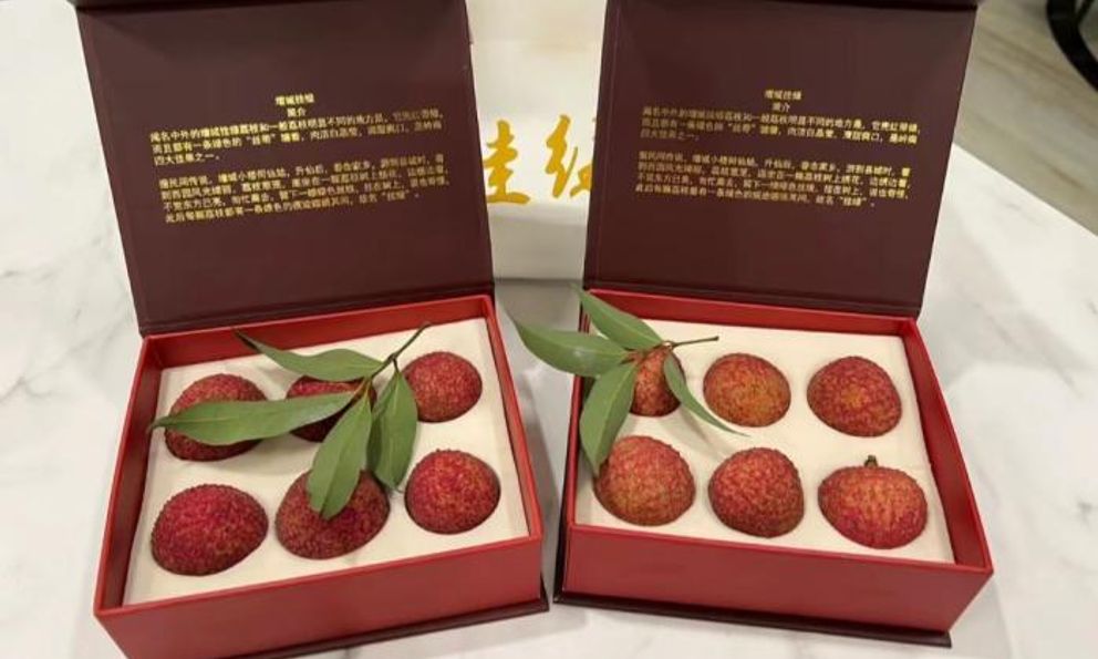 Có gì trong quả vải thiều giá lên tới gần 2 tỷ đồng, người có tiền cũng chưa chắc mua được?