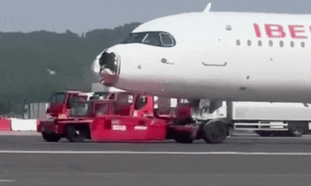 Hi hữu: Chim đâm vỡ mũi, máy bay phải quay đầu hạ cánh khẩn cấp