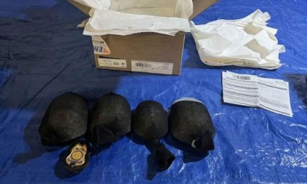 Bất ngờ kiểm tra kiện hàng của một người đàn ông, cảnh sát sốc trước cảnh tượng chưa từng thấy