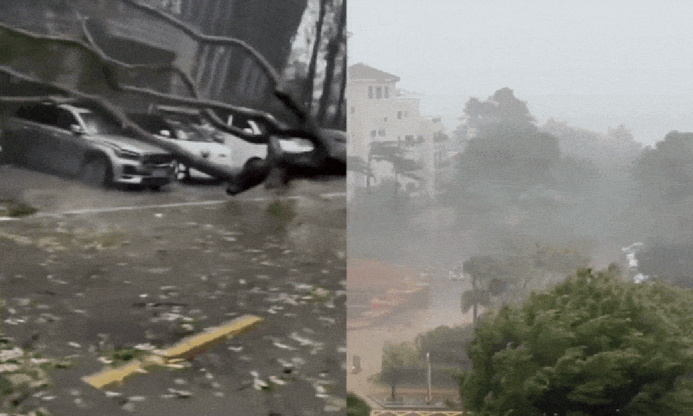 Cảnh tượng kinh hoàng khi bão số 5 (bão Kajiki) đổ bộ Trung Quốc: Cây đổ hàng loạt, giao thông tê liệt