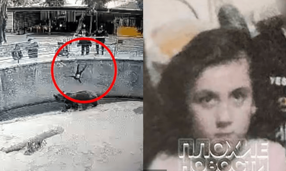 Phẫn nộ tột cùng: Mẹ ném con 3 tuổi vào chuồng gấu, 4 năm sau tiếp tục xuống tay tiếp với chính con mình