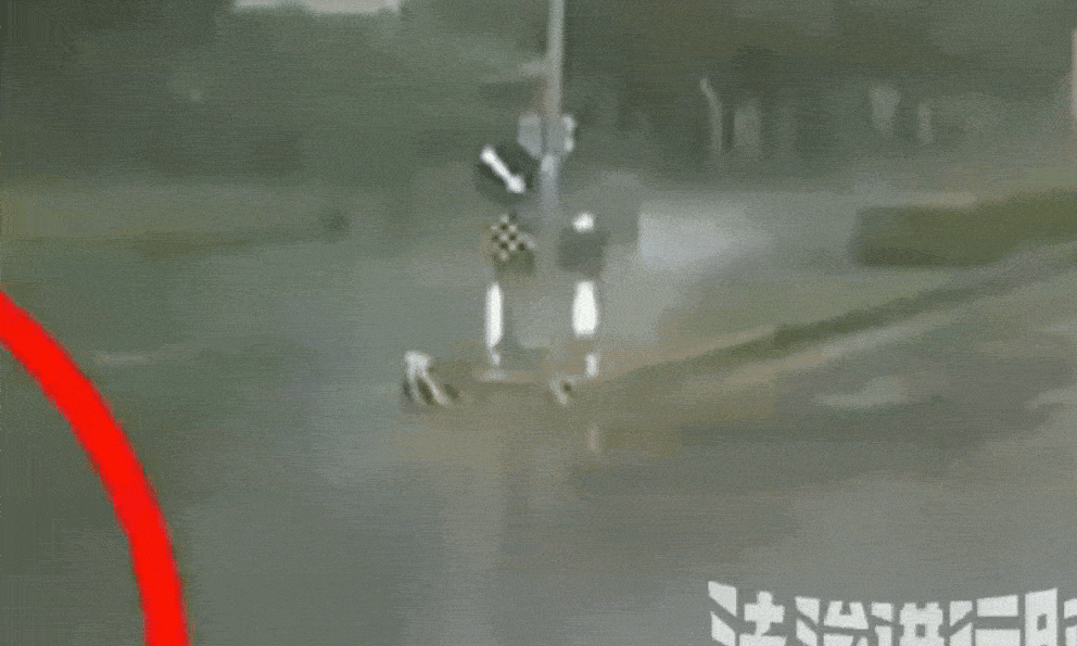 Xe cảnh sát hộ tống nghi phạm trong siêu bão Ragasa lao lên dải phân cách vỡ nát, nghi phạm tử vong tại chỗ