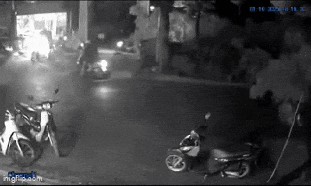 TP.HCM: 2 bà cháu bị cây xanh bật gốc đè trúng giữa trời mưa 