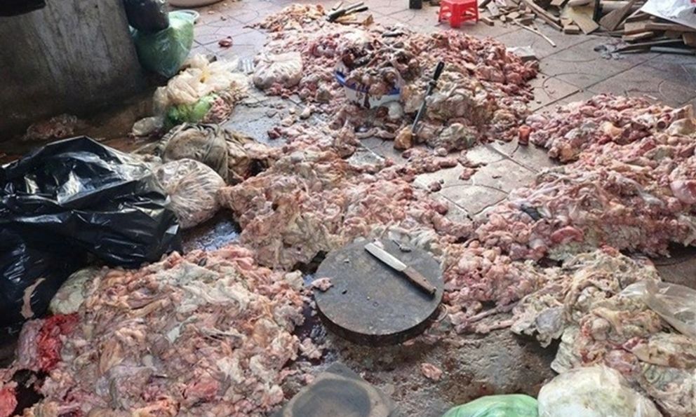 Hãi hùng cảnh mỡ động vật bẩn chất đống dưới nền nhà nhếch nhác, chuẩn bị chế biến tuồn ra thị trường ở Nghệ An