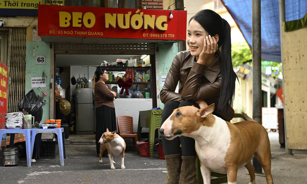 “Cậu Vàng” Mr.Gold ngoài đời, khách xếp hàng từ sớm để gặp chú chó “nuôi được cả chủ”