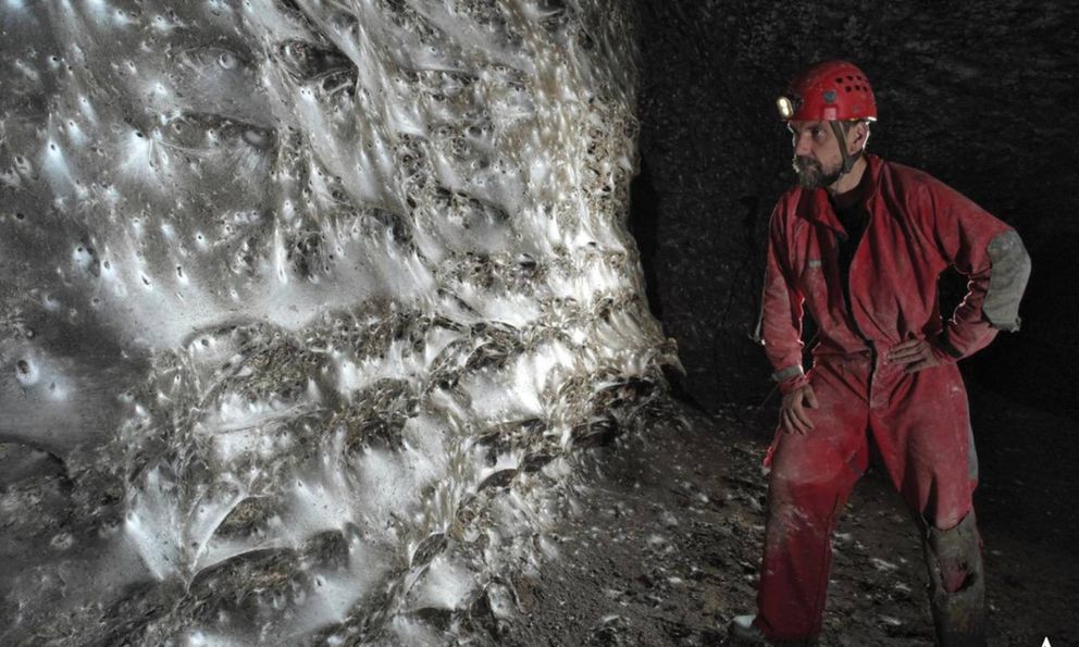 Hơn 111.000 con nhện, 106 mét vuông mạng chăng kín ẩn giấu bí mật về hệ sinh thái độc hại nhưng cân bằng