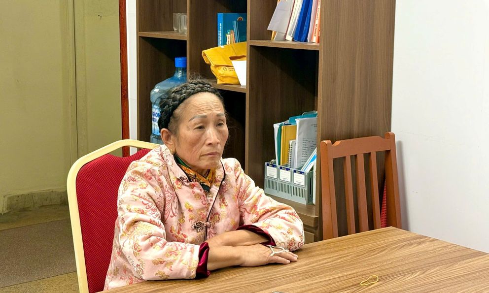 Bắt giữ cụ bà Vũ Thị Thanh 
