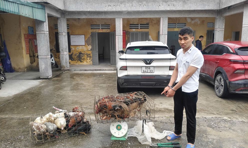 Bắt Lê Khánh Thành cùng 10 con gà và 3 con ngan