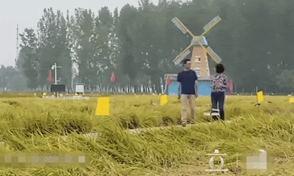 Thảm cảnh của mỹ nam Hoàn Châu Cách Cách: 20 người thân lần lượt qua đời, giữ tro cốt cha mẹ trong nhà cho bớt cô đơn