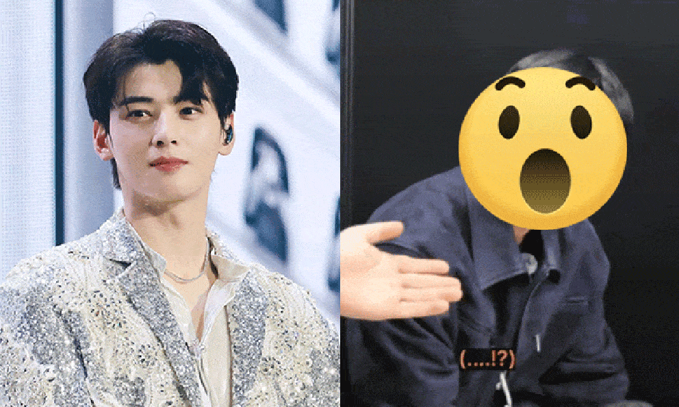 Em trai Cha Eun Woo: Đã đẹp lại còn thông minh xuất chúng, dân tình thi nhau xin làm 