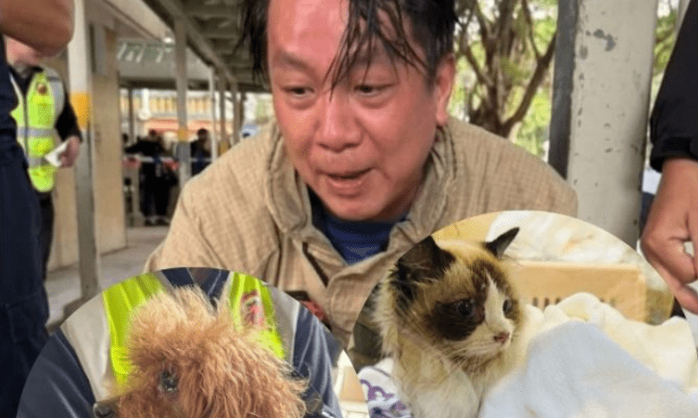 Câu chuyện ấm lòng giữa tang thương trong vụ cháy chung cư Hong Kong (Trung Quốc): Lính cứu hỏa có phải có 