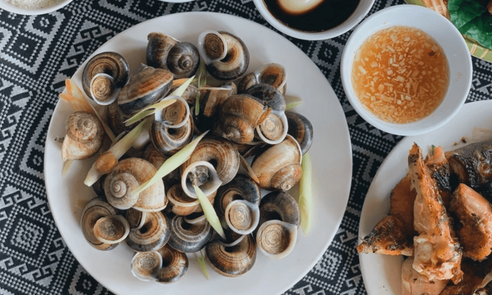 Loài vật tưởng chỉ có dưới nước, ai ngờ còn 