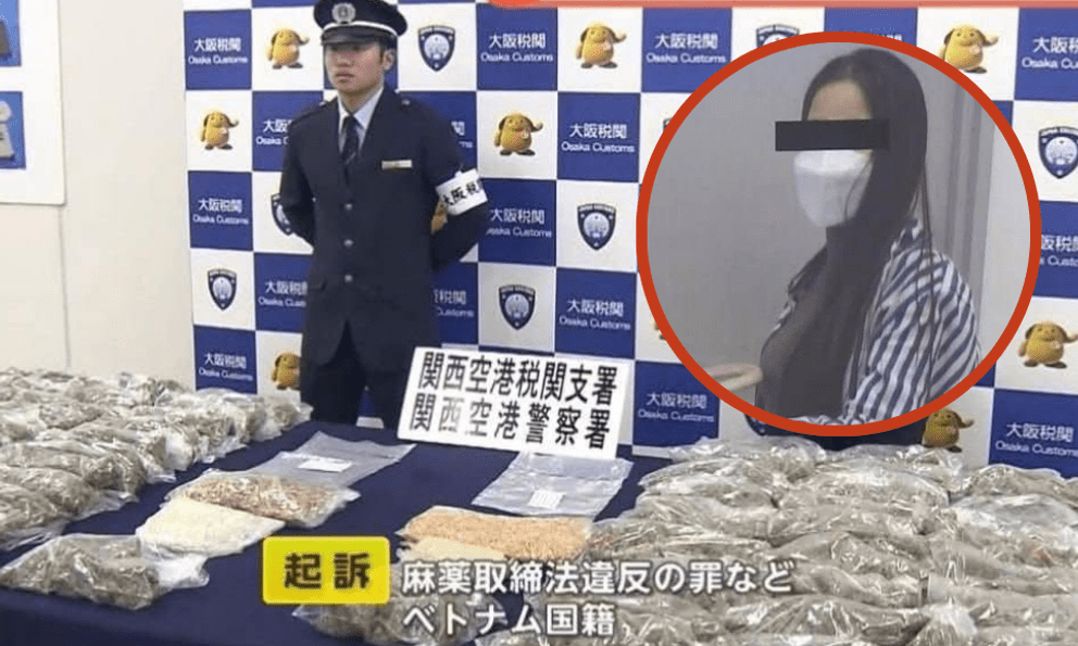 2 cô gái Việt vận chuyển 31kg cần sa khô qua sân bay Nhật, giá trị 25 tỷ đồng: Vụ thu giữ lớn nhất từ trước đến nay