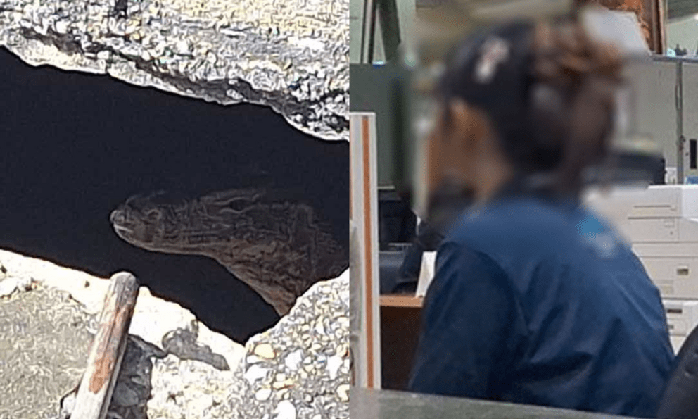 Rúng động Thái Lan: Phát hiện thi thể bé gái sơ sinh bị kỳ đà cắn, lời khai của mẹ 19 tuổi khiến ai nghe cũng lạnh gáy