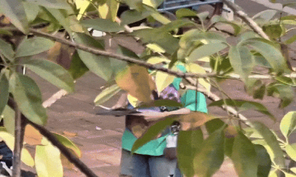 Đây chính là mỹ nhân mặc xấu nhất hiện tại, khán giả kêu gọi bỏ phim vì loạt váy áo thảm họa