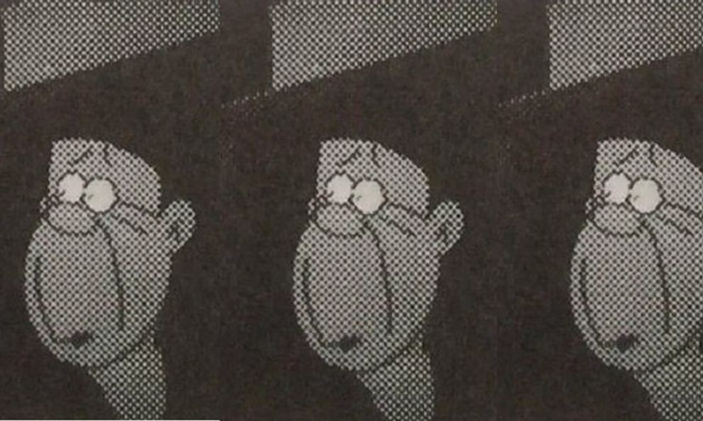 Nhân vật xuất hiện 5 lần nhưng có 5 tạo hình khác nhau trong Doraemon, có ảnh hưởng đặc biệt đến Shizuka