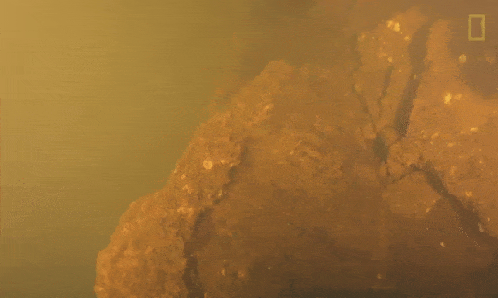 Kinh ngạc phát hiện “Vương quốc cá mập” bên trong miệng núi lửa đang sôi sục dưới đáy biển