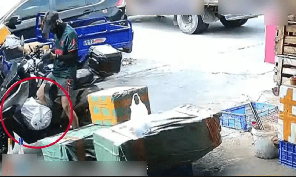 Nhận 97.000 đồng để giao... 1 con cá sấu, shipper gặp nguy khi đơn hàng bất ngờ sống dậy giữa đường đi