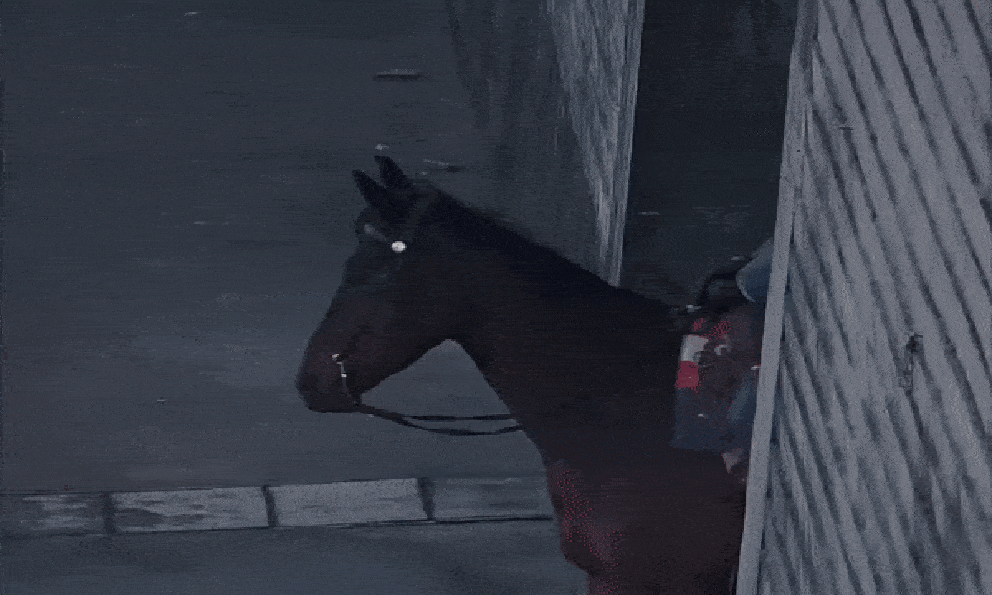 Nhìn mỹ nam này phải thốt lên “Hoàng tử thời dân quốc”: Khí chất vương giả ăn vào máu, đẹp không chừa phần ai