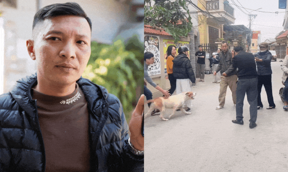 Vụ thả chó dữ cắn người phụ nữ ở Hà Nội: Nhân chứng kể lại phút kinh hoàng và quá khứ 