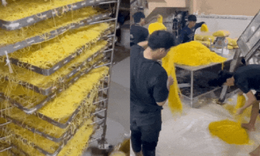 Clip: Cận cảnh quy trình sản xuất 800 tấn mì sợi 