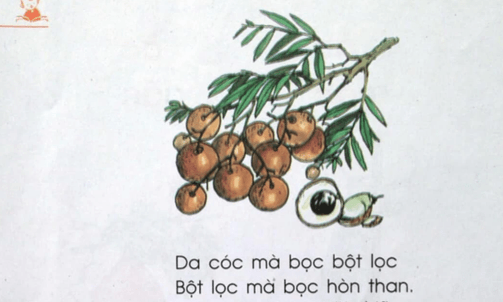 Câu đố tiếng Việt 