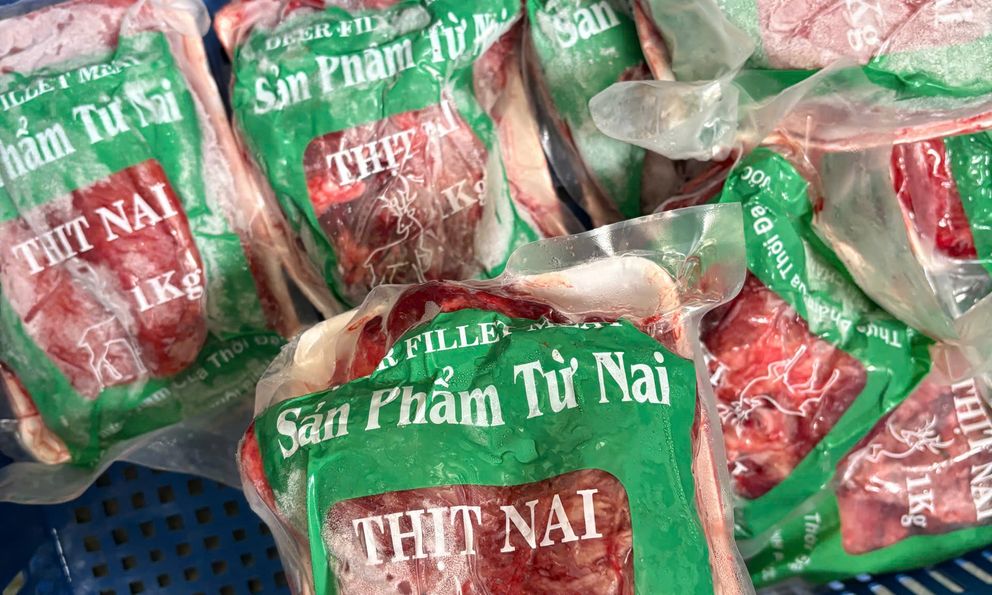 Kinh hoàng: 50 tấn thịt heo 