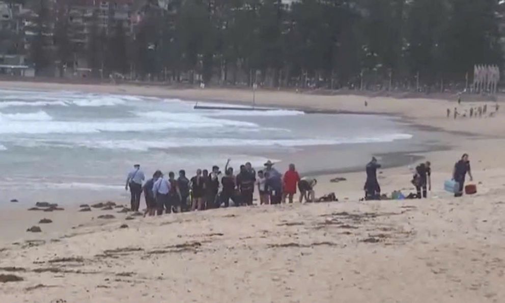 Kinh hoàng cảnh người đàn ông bị cá mập tấn công và cuốn trôi tại bãi biển du lịch