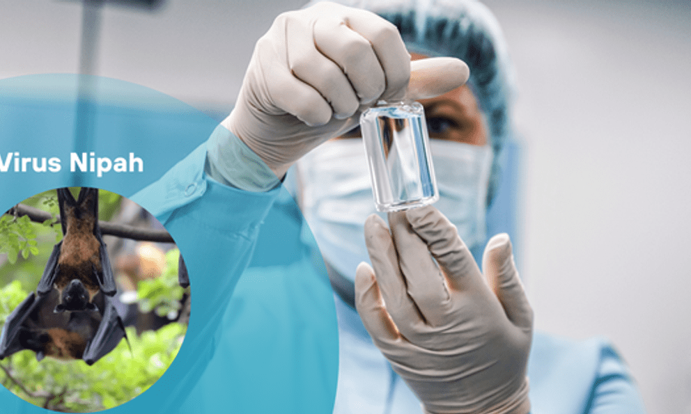 Trung Quốc phát hiện thuốc phòng chống virus Nipah hiệu quả