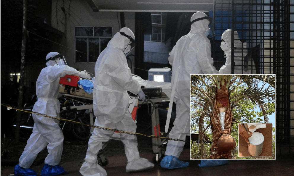 Một thức uống phổ biến trong đám cưới bị nghi là nguồn lây virus Nipah trong ca nhiễm đầu tiên tại Ấn Độ