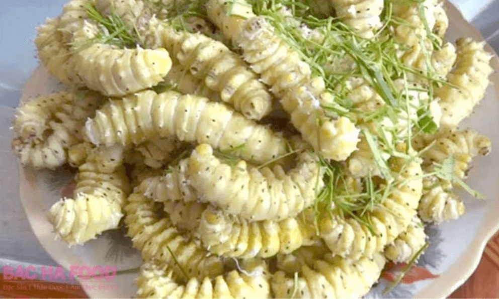 Những loài vật đáng sợ nhưng được xem là tinh tuý ẩm thực ở Việt Nam, ai gan lắm mới dám nếm thử