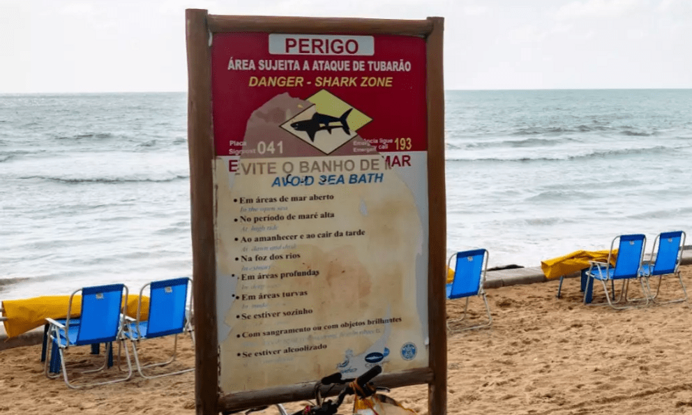  Cậu bé 13 tuổi bị cá mập tấn công tử vong tại một địa điểm du lịch nổi tiếng