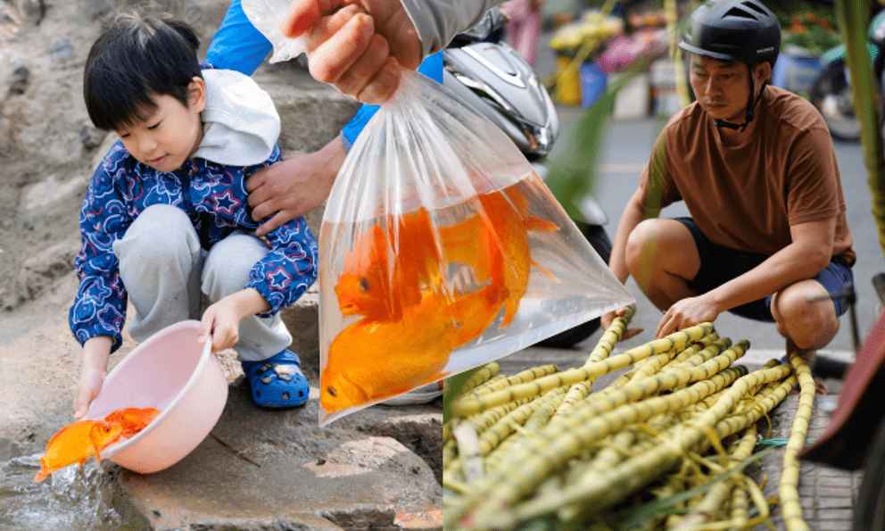 Mía chằng kín xe máy, cá chép đỏ rực bến sông: TP.HCM - Hà Nội rộn ràng tiễn ông Công ông Táo ngày 23 tháng Chạp