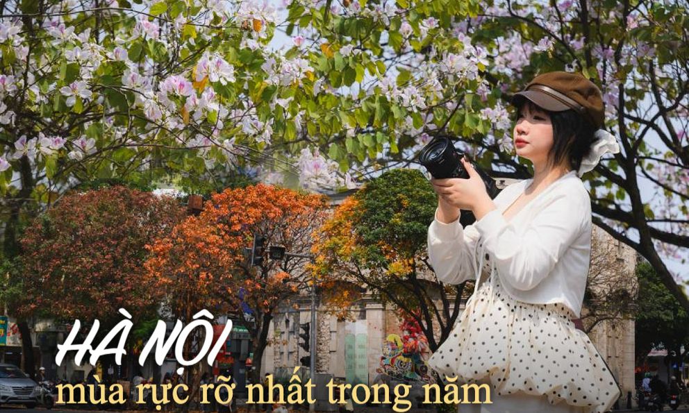 Ăn chơi cho hết tháng Giêng, mùa săn hoa đã đến khiến cả Hà Nội đứng ngồi không yên