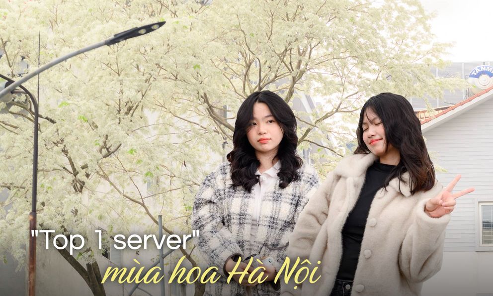 Cả Hà Nội phát sốt vì những cây hoa này: Chỗ đẹp như ngôn tình, nơi đã xác xơ - đi nhầm phí công vô ích!