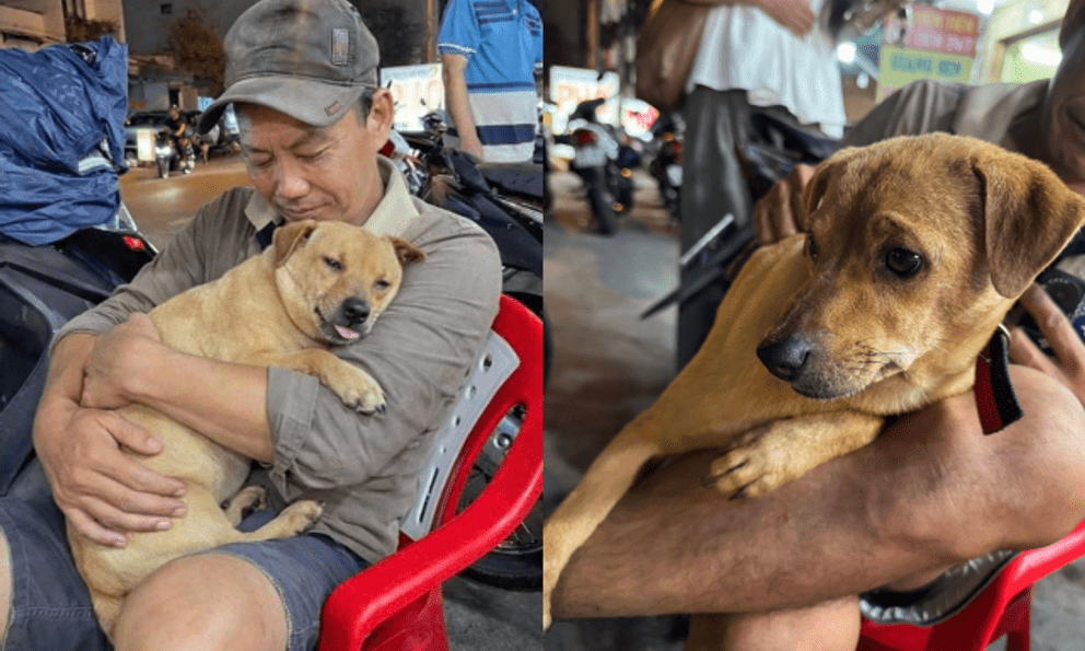 Người đàn ông rong ruổi suốt 1 tháng từ Long An lên TP.HCM tìm chó cưng gây xúc động: “Nọng giống như người thân trong nhà”