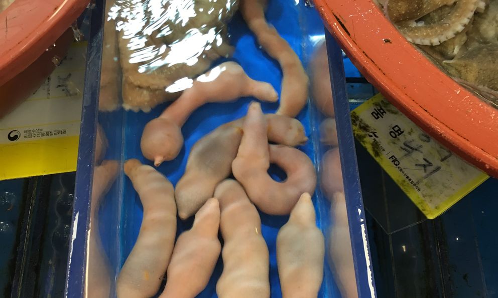 Cố chấp ăn đặc sản giun sống ở Hàn Quốc, khách Việt rùng mình dù chỉ mới ăn 1 miếng