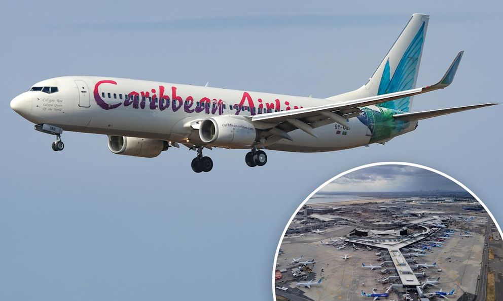 Một em bé vừa được sinh ra trên máy bay, không rõ mang quốc tịch gì