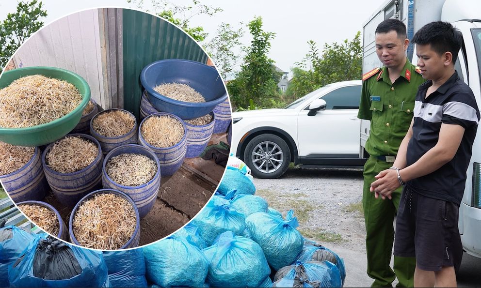 Cận cảnh xưởng sản xuất giá đỗ dùng hormone tăng trưởng ở Quảng Ninh: Mỗi ngày bán 700 kg, thu giữ 4000 kg chứa chất cấm