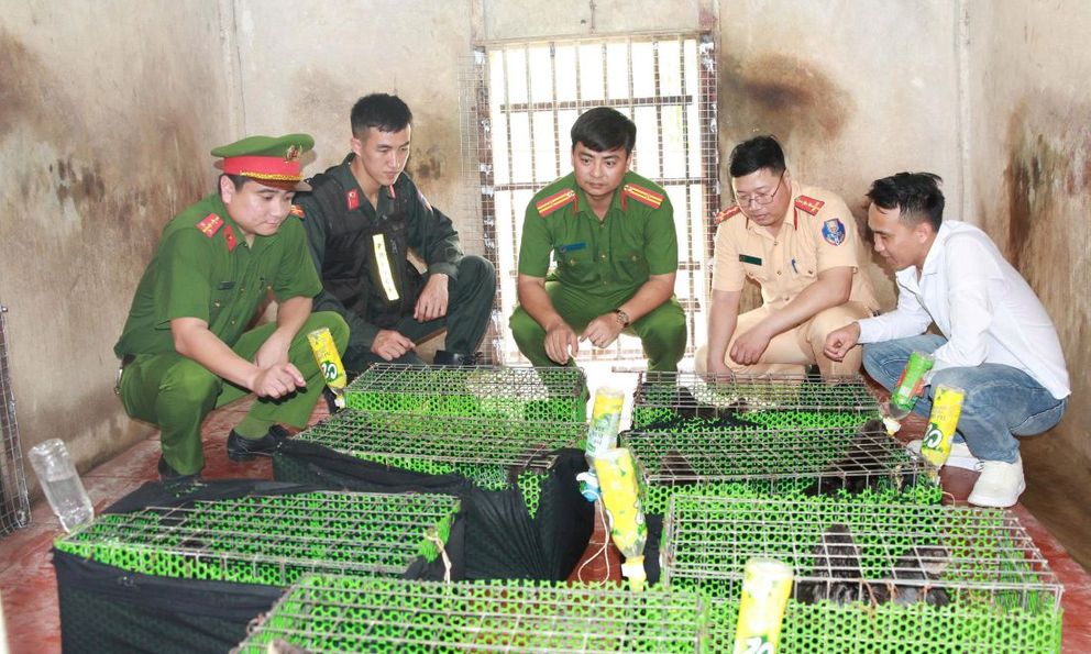 Phát hiện 40 lồng nhựa bất thường bên trong khoang hàng: Công an bắt giữ Nguyễn Văn Chương SN 1992