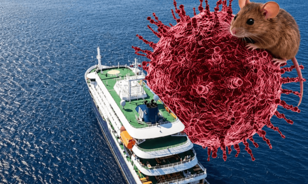 Toàn cảnh hành trình trên du thuyền mang virus Hanta khiến cả thế giới lo ngại: Hơn 1 tháng “nín thở” và tình hình hiện tại