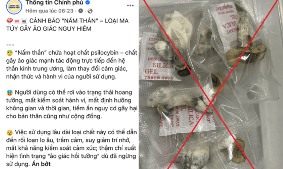 Cảnh báo về ma tuý 