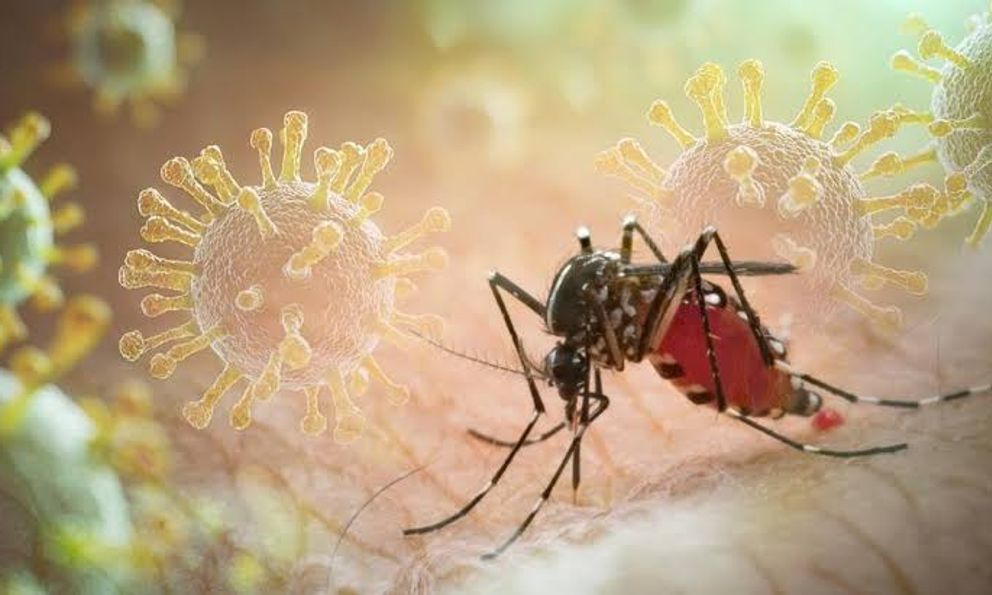 Sốt xuất huyết Dengue phá vỡ quy luật cũ: Ghi nhận hơn 50.000 ca mắc trong 5 tháng đầu năm 2026, xuất hiện nhiều ca nặng