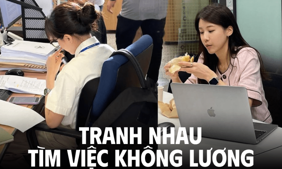 3-6 tháng làm không lương vẫn tranh nhau ứng tuyển: Chấp nhận làm không công miễn không thất nghiệp