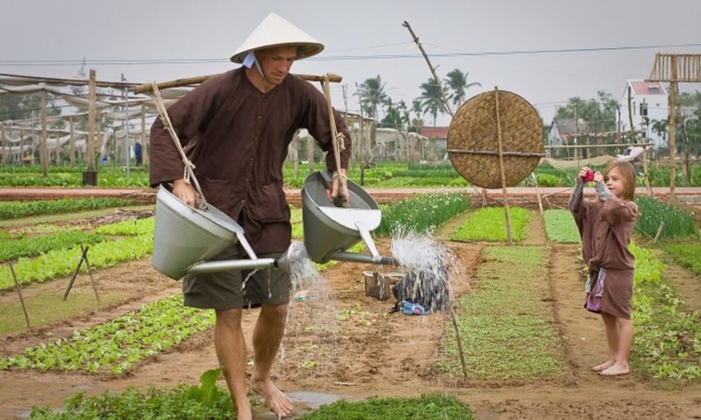 Việt Nam có ngôi làng khách Tây xếp hàng để được làm nông dân, bí quyết rau ngon nằm ở một loại 