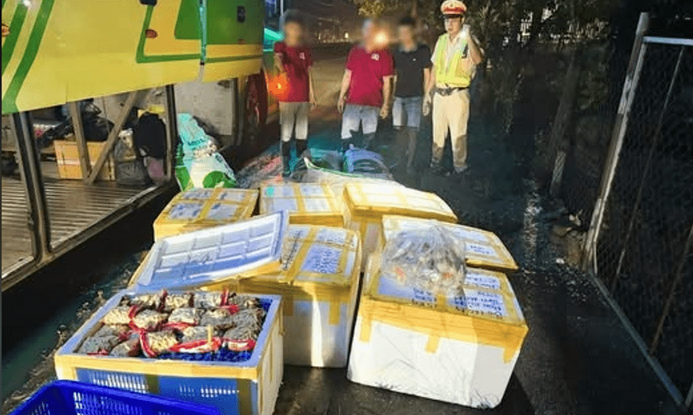 Kiểm tra xe khách lúc 1h sáng, lực lượng chức năng phát hiện hơn 800kg thực phẩm không rõ nguồn gốc giấu trong 7 thùng xốp
